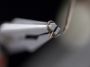 Afbeelding - https-www-ez-catalog-nl-Asset-b03985a9298a4782a69b4f7dbb0687c0-ImageFullSize-7e2187ea05bcb07e2aee90a6f4faccb36ef94f60738dbf40cc3c40419a69acba-jpg